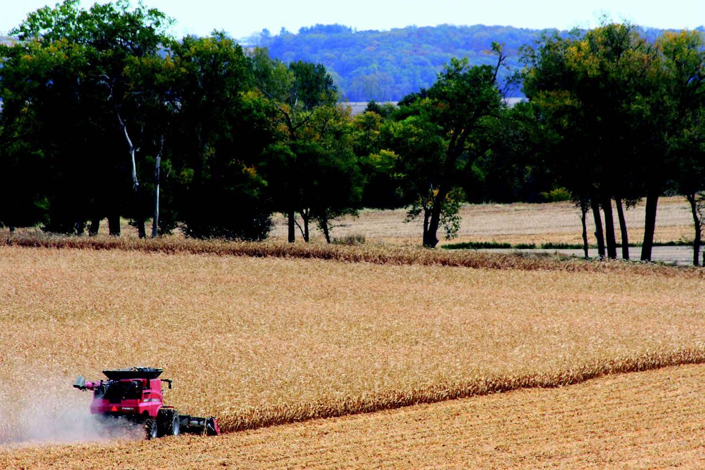 I thought this Case/IH 8240 combine picking corn, between Falls City and Rulo, Nebraska, with the trees in the background made for a great photo opportunity. I talked with a farmer there in Nebraska and he said that most of the corn that was picked or being picked was a bit wet. There was definitely more soybean harvesting going on but it was good to find some corn being picked.